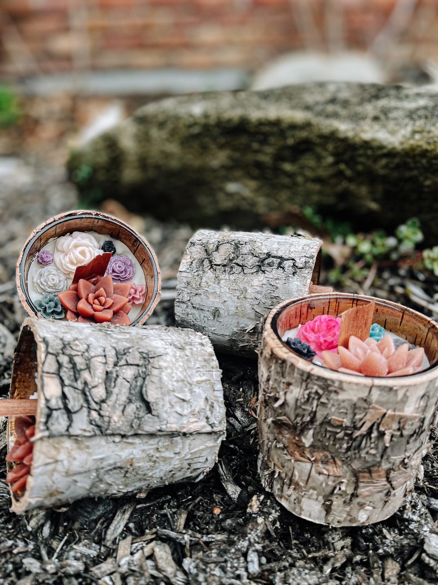 Mini Succulent Tree Bark Candle