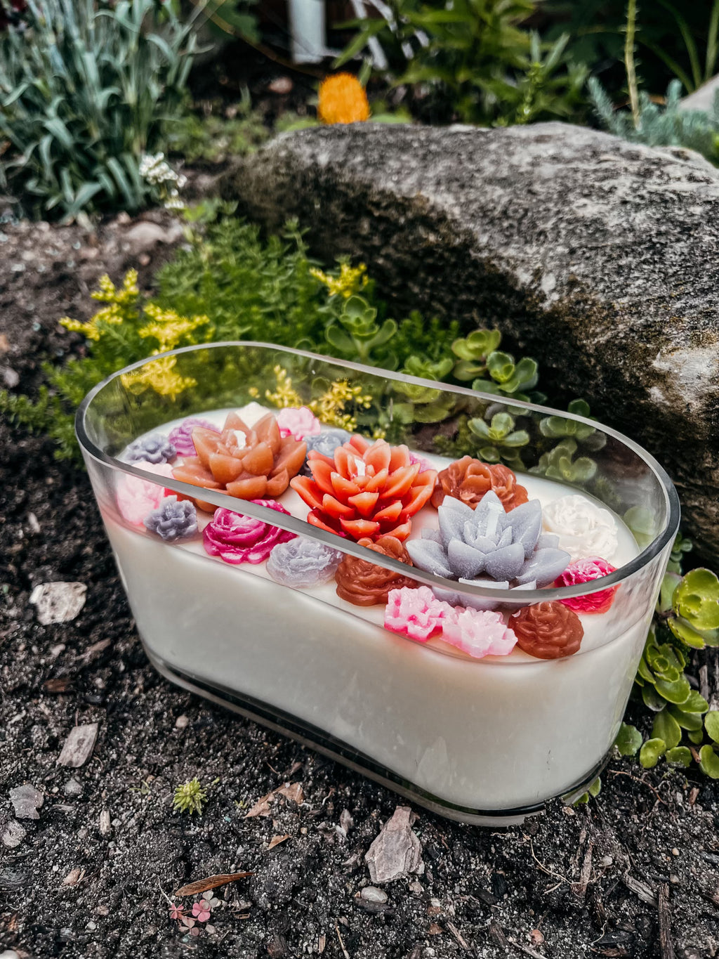 3 Wick Succulent Candle