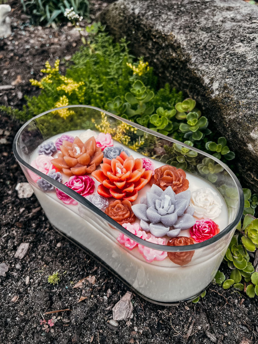 3 Wick Succulent Candle