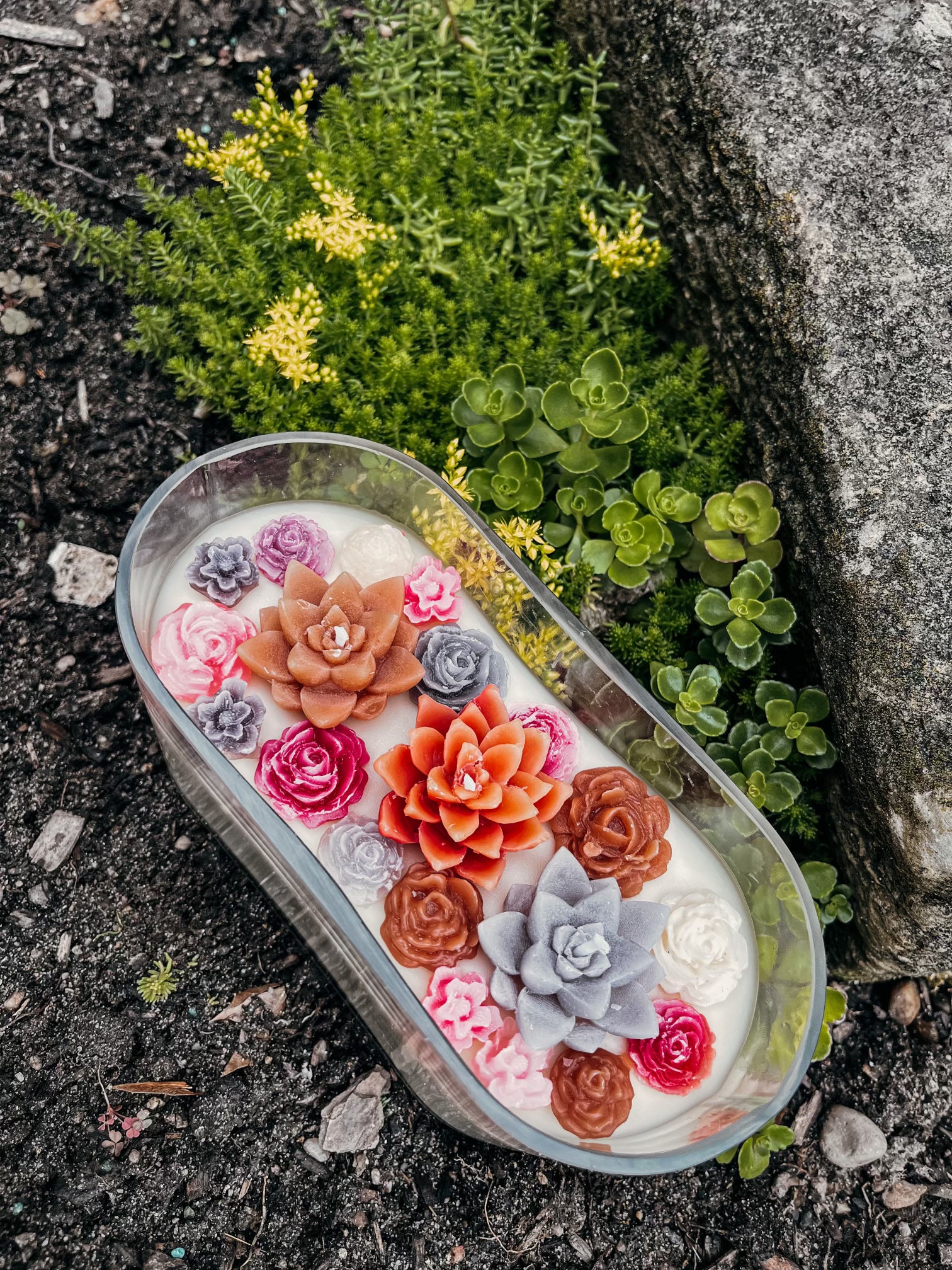 succulent garden candle 3 Wick Succulent Candle Lavender