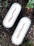 Long woodwick ceramic candle