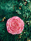 Beeswax Rose Candle