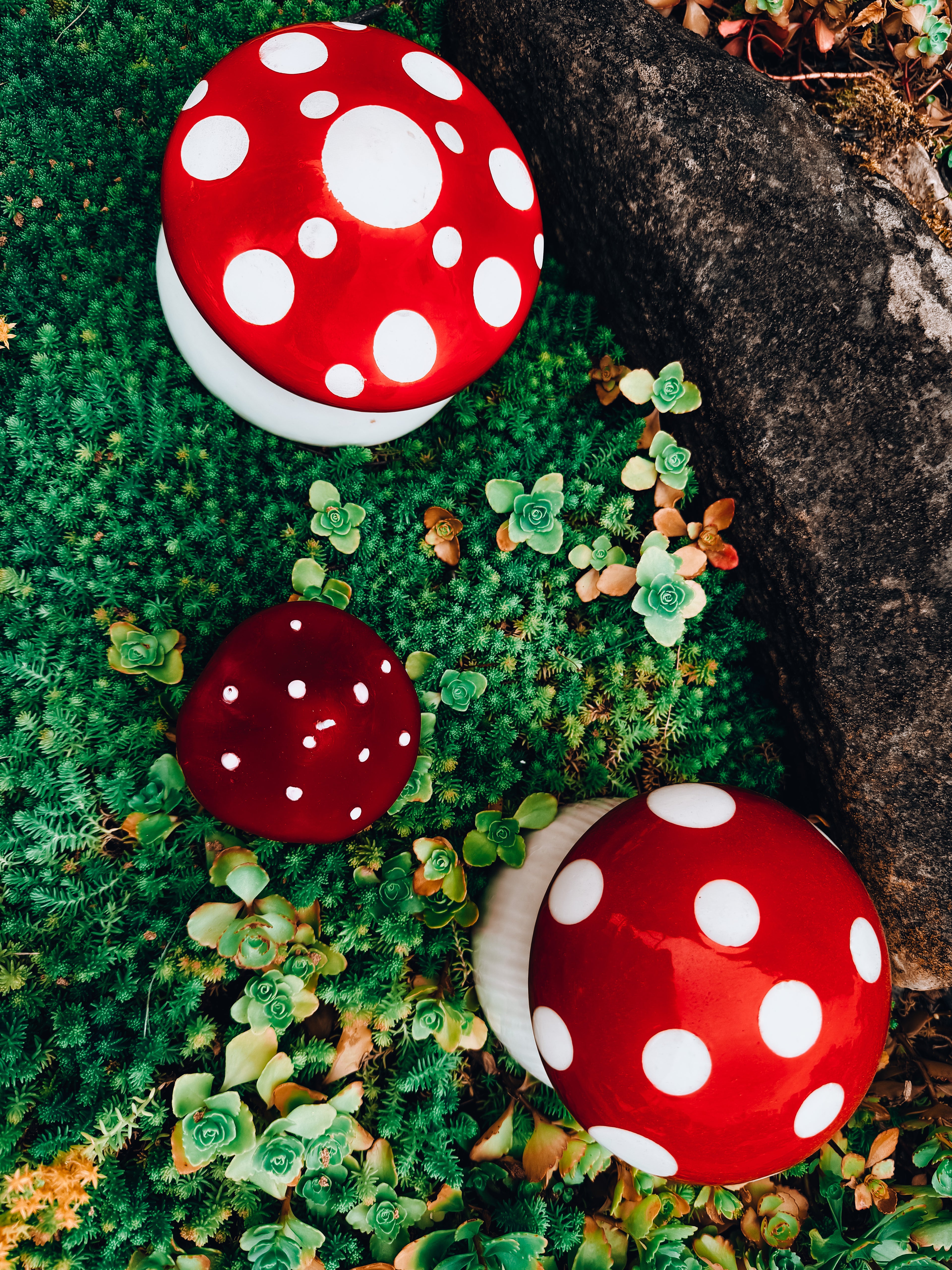 Beeswax Mushroom Candle