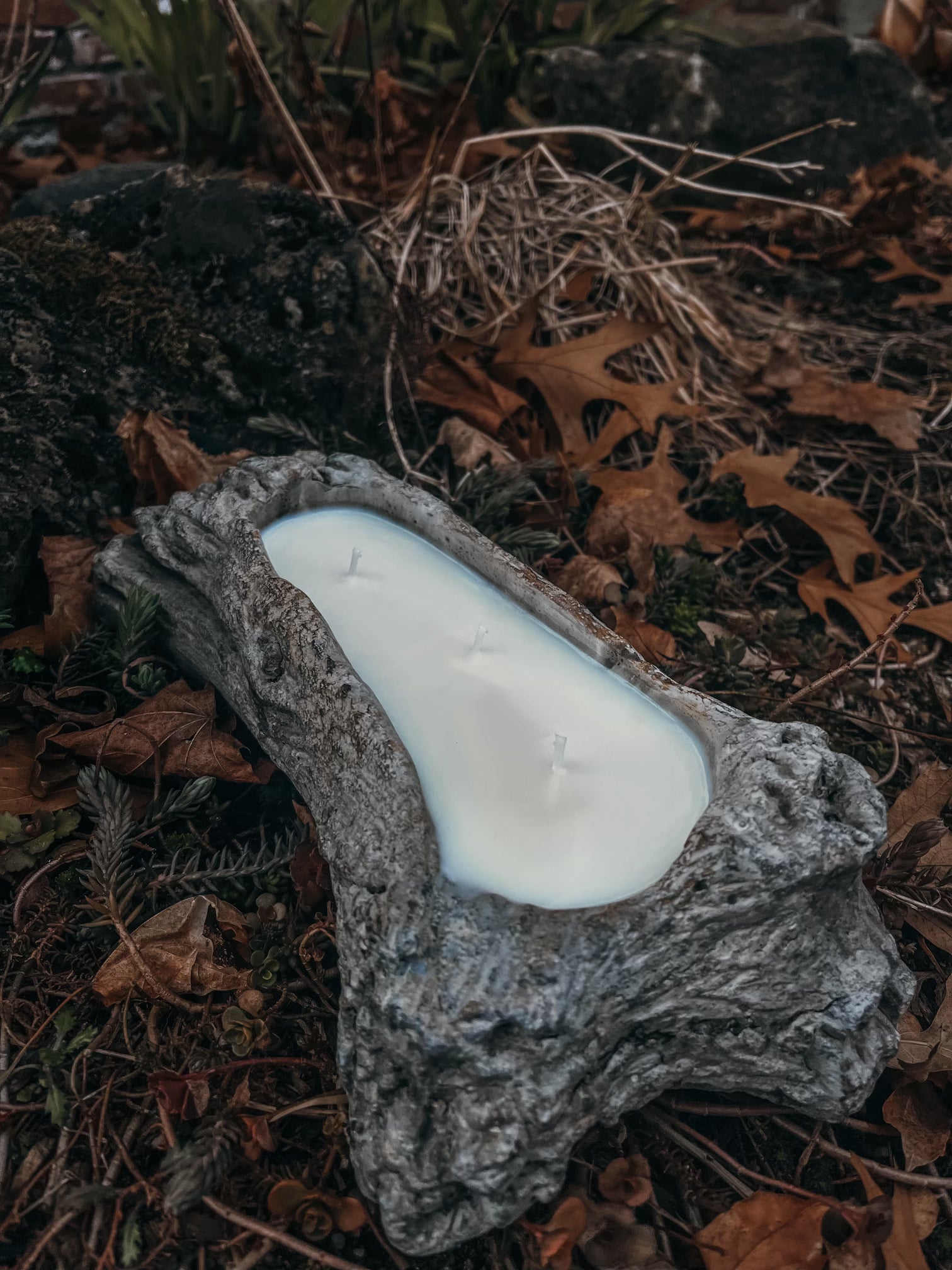 Driftwood Ceramic Candle