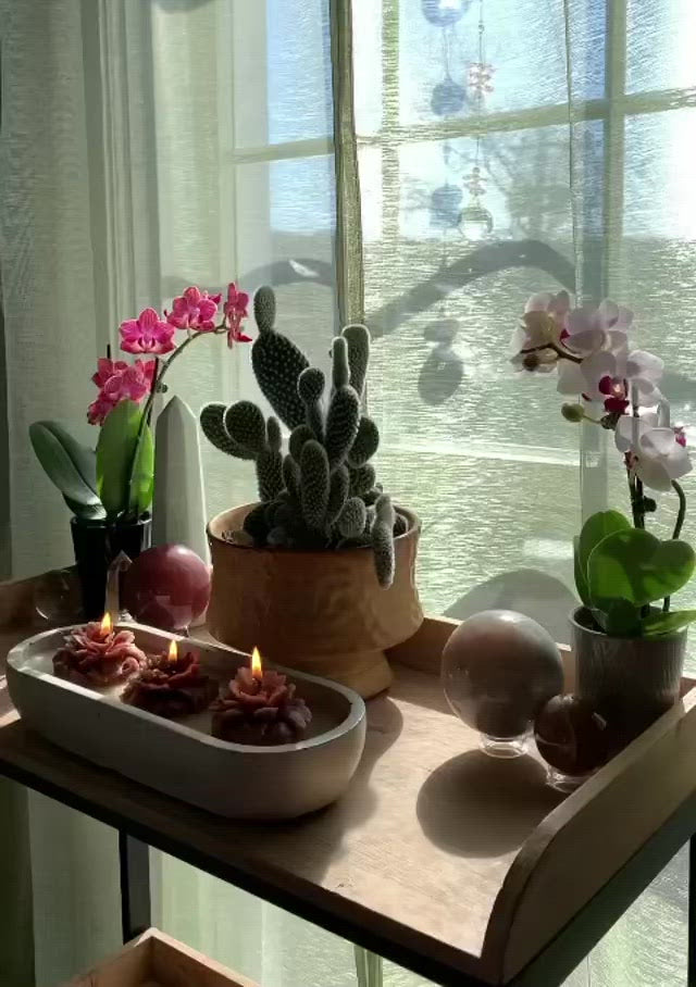 3 Wick Marigold Candle