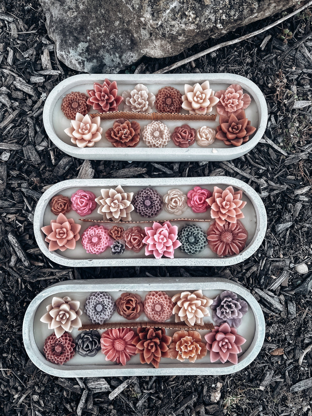 Succulent Long woodwick candle