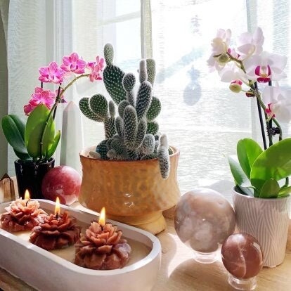 3 Wick Marigold Candle