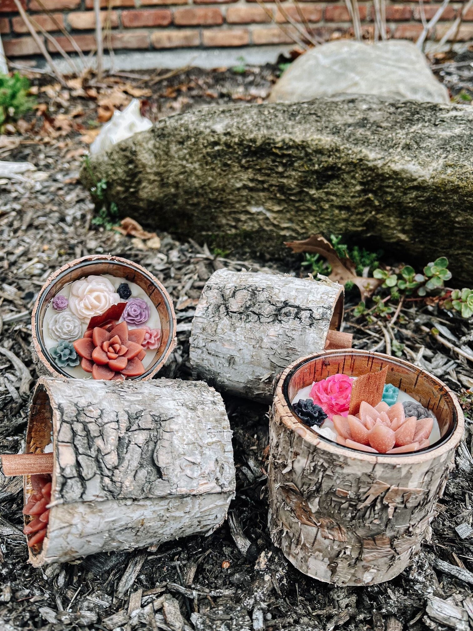 Mini Succulent Tree Bark Candle