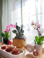 3 Wick Marigold Candle