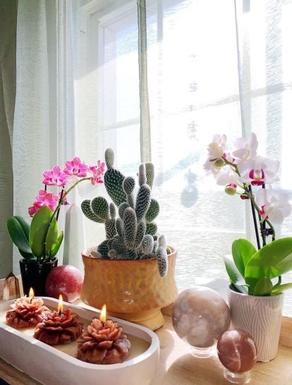 3 Wick Marigold Candle